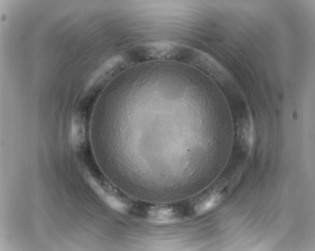 X0000066540602200603171242