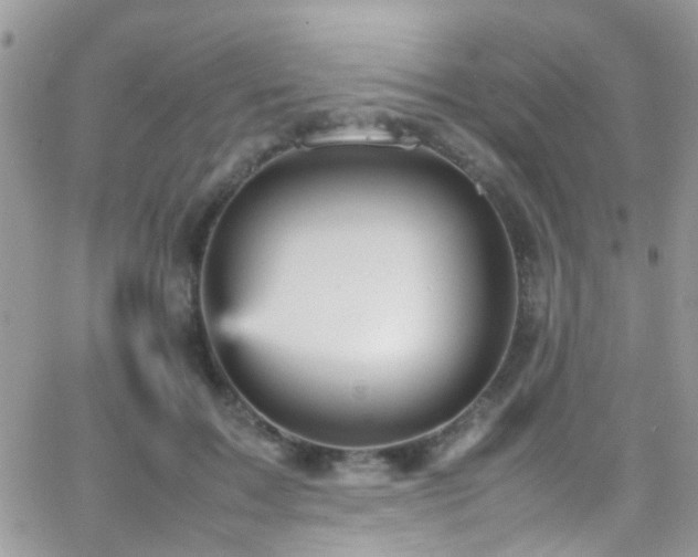 X0000066540603200603171242