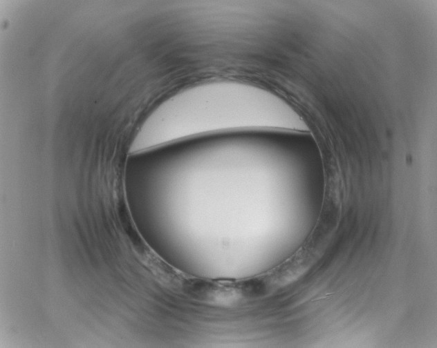 X0000066540604200603171242