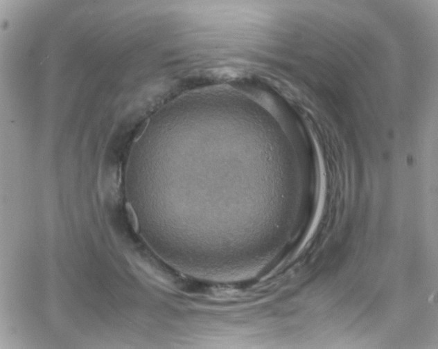 X0000066540605200603171242