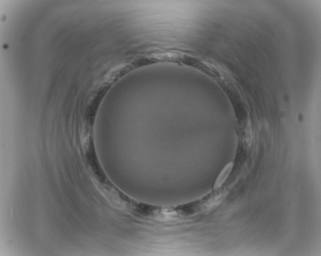 X0000066540607200603171242