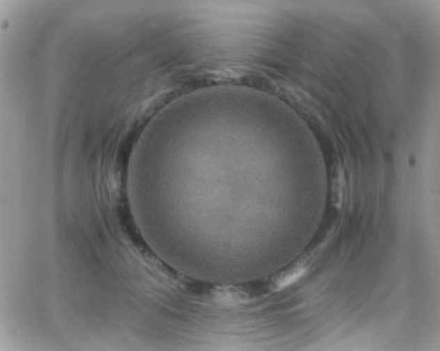 X0000066540608200603171242