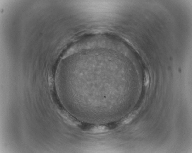 X0000066540609200603171242