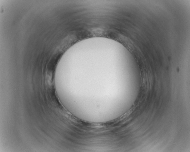 X0000066540610200603171242