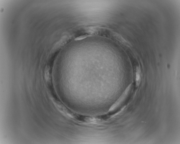 X0000066540611200603171242