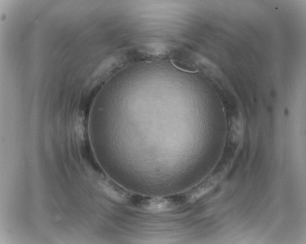 X0000066540612200603171242