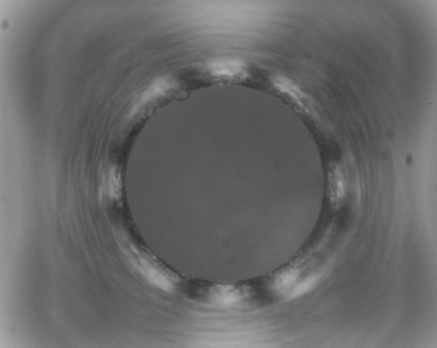 X0000066540613200603171242