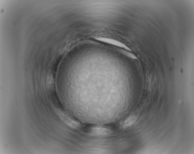 X0000066540614200603171242