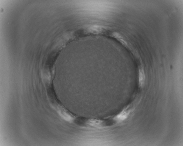 X0000066540617200603171242