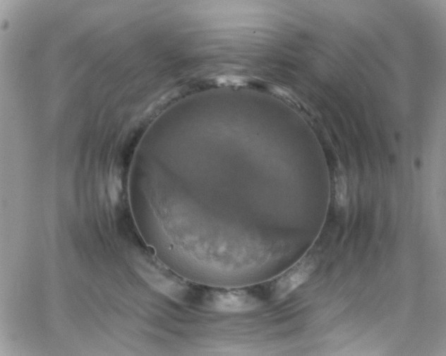 X0000066540618200603171242