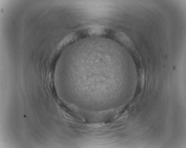 X0000066540619200603171242