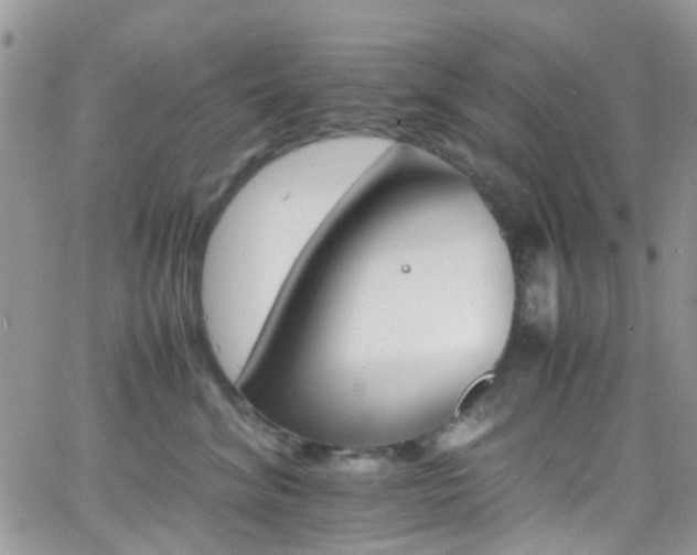 X0000066540620200603171242