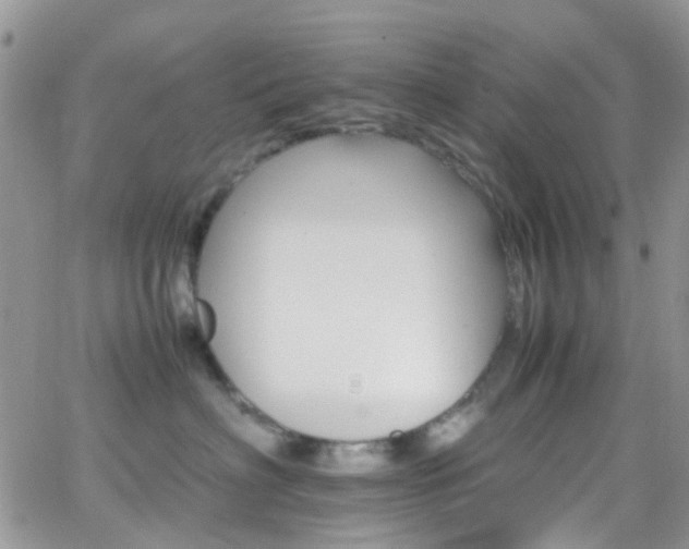 X0000066540622200603171242