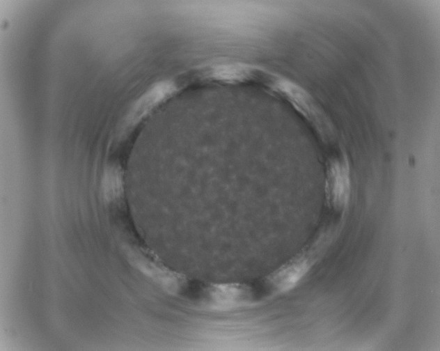 X0000066540623200603171242