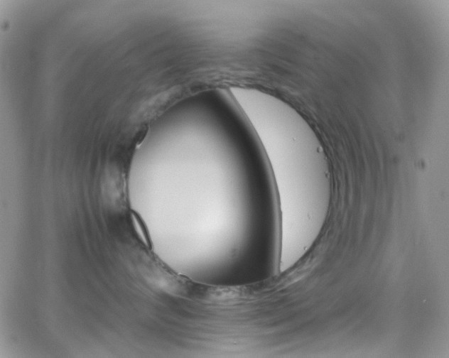 X0000066540624200603171242