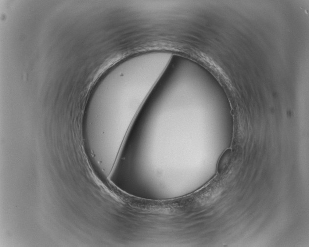 X0000066540625200603171241