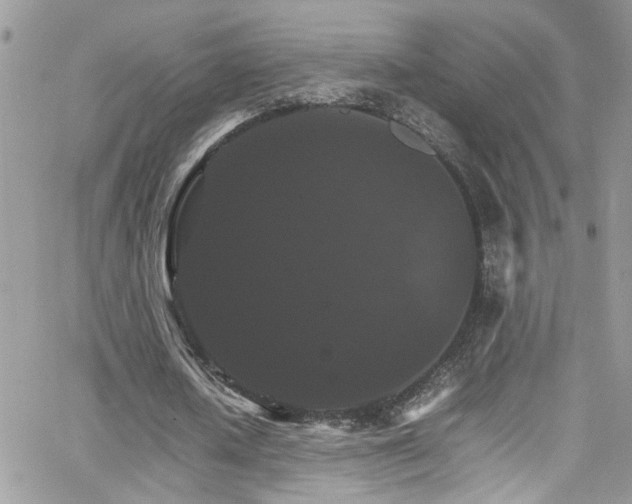 X0000066540626200603171241