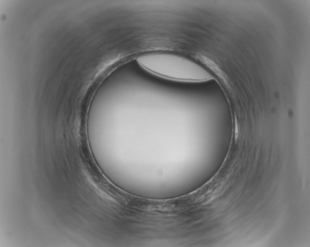 X0000066540627200603171241