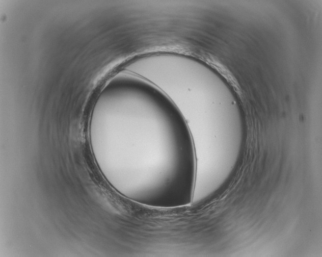 X0000066540628200603171241