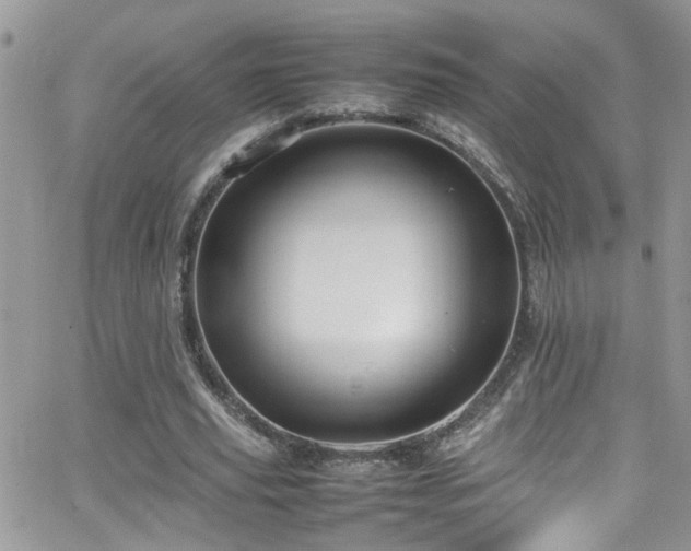 X0000066540629200603171241