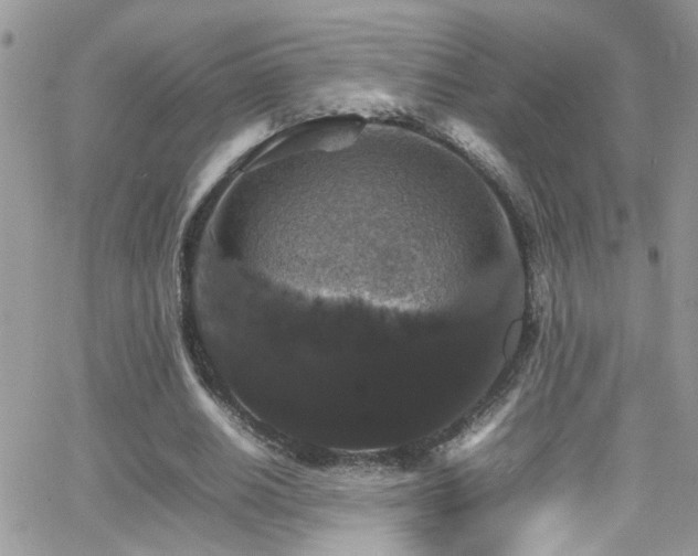 X0000066540630200603171241