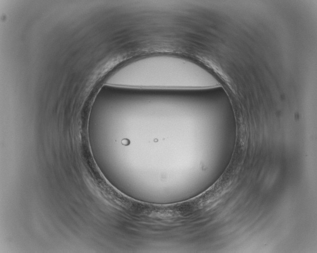 X0000066540631200603171241