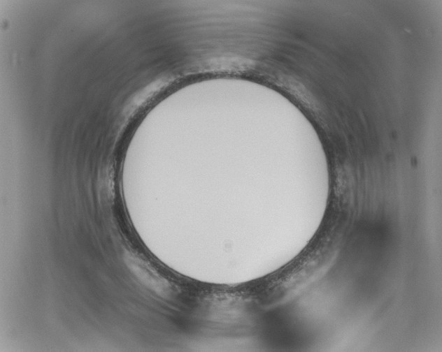 X0000066540632200603171241