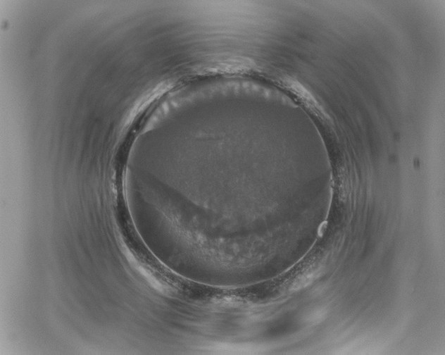 X0000066540634200603171241