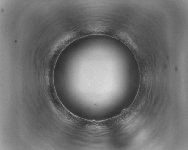 X0000066540635200603171241