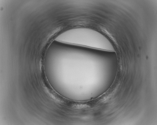 X0000066540637200603171241