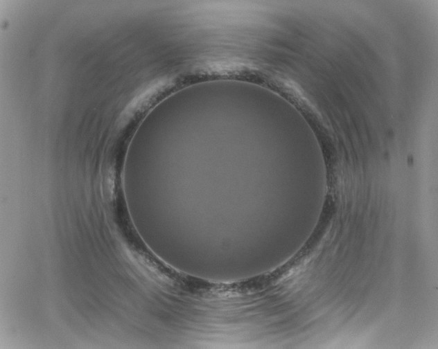 X0000066540640200603171241