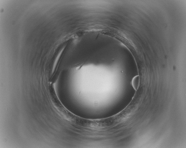 X0000066540641200603171241