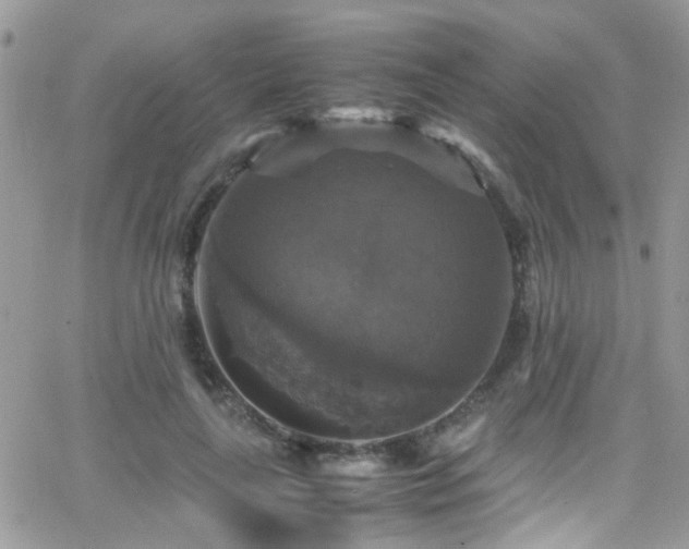 X0000066540643200603171242