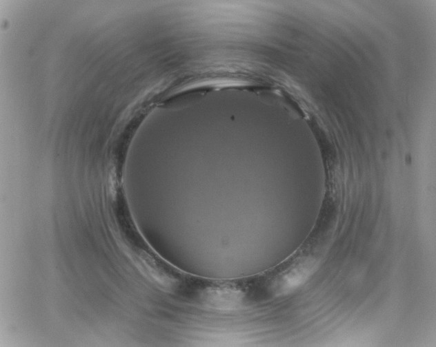 X0000066540644200603171242