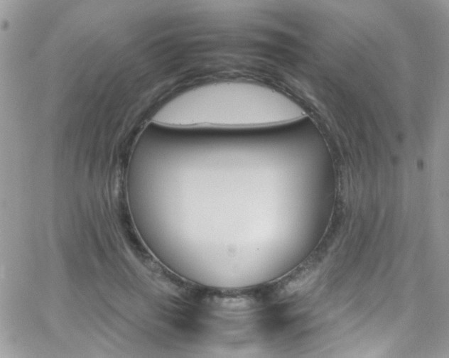 X0000066540645200603171242