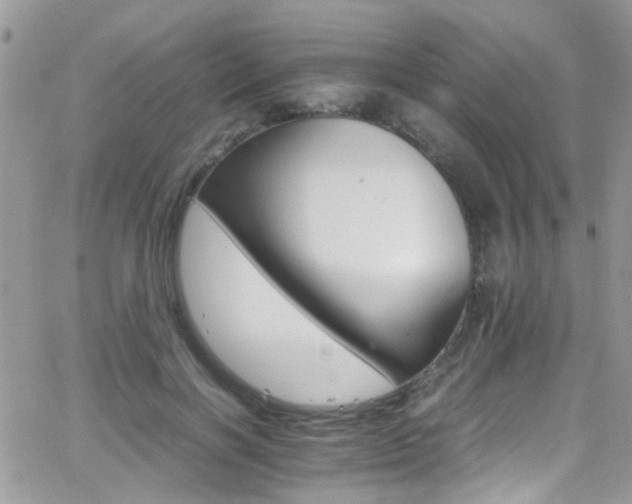 X0000066540646200603171242