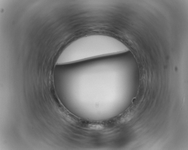 X0000066540649200603171242