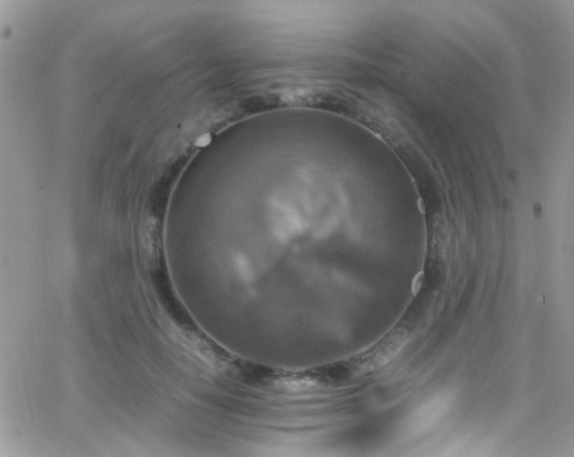 X0000066540650200603171242