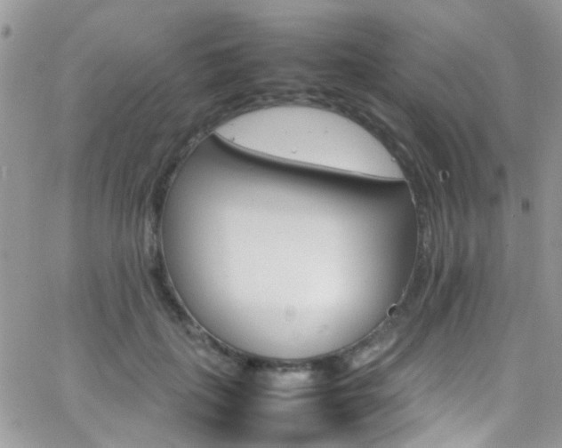 X0000066540651200603171242