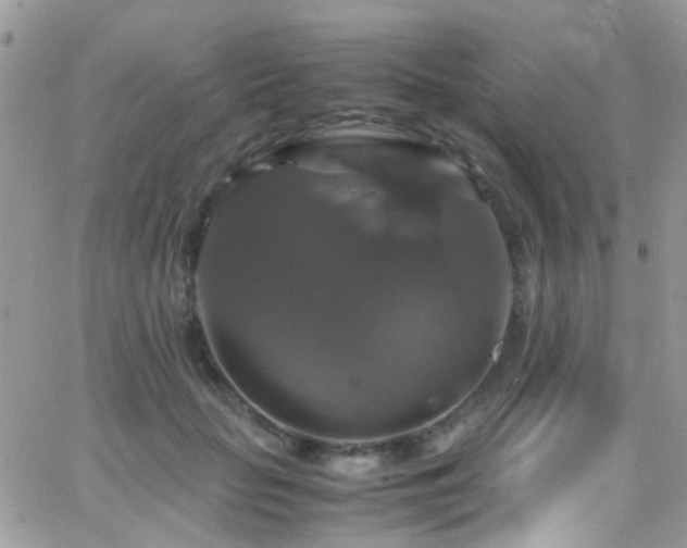 X0000066540653200603171242