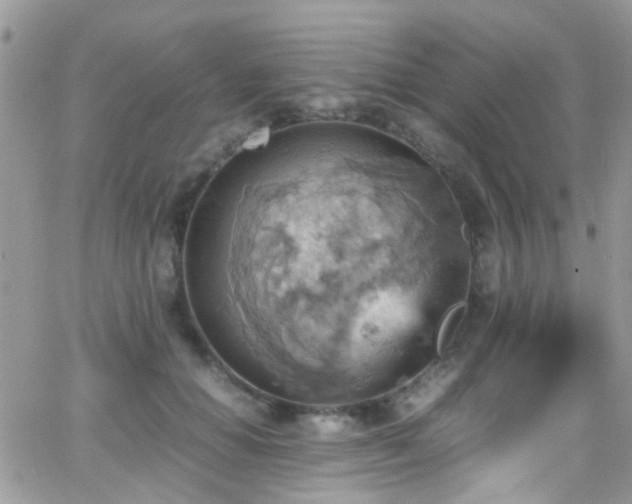 X0000066540654200603171242