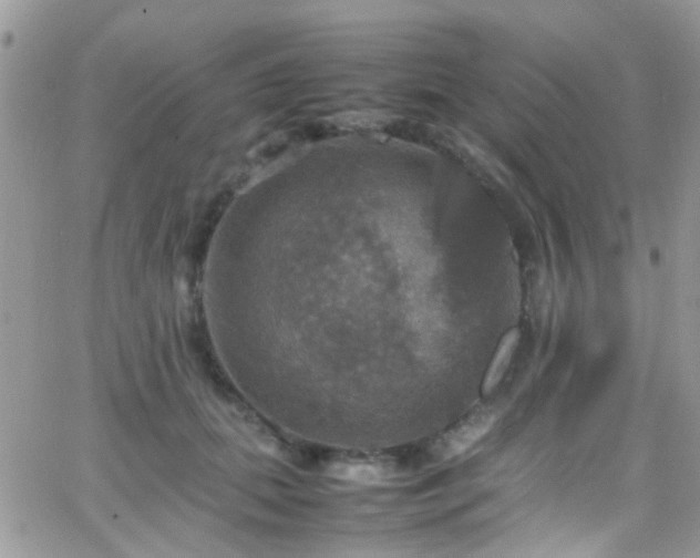 X0000066540655200603171242