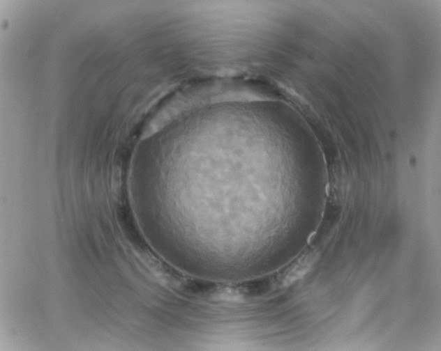 X0000066540656200603171242