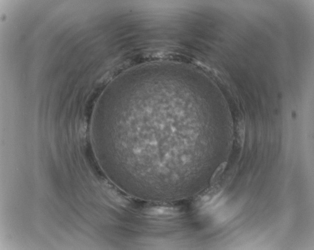 X0000066540657200603171242