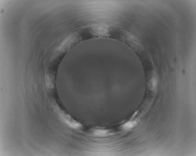 X0000066540658200603171242