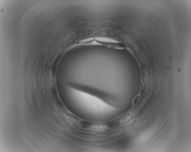 X0000066540659200603171242