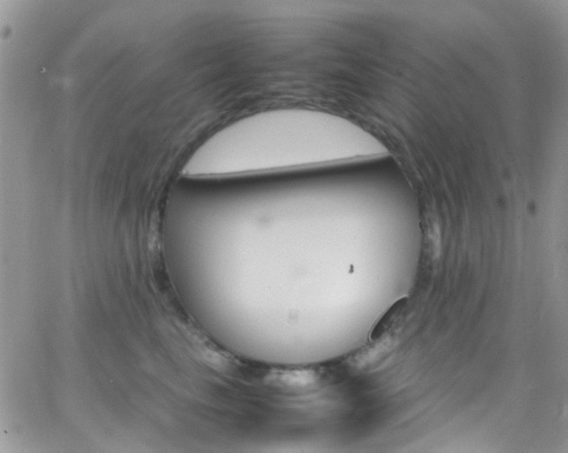 X0000066540665200603171242