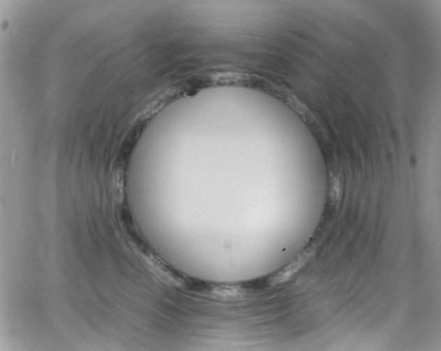 X0000066540666200603171242