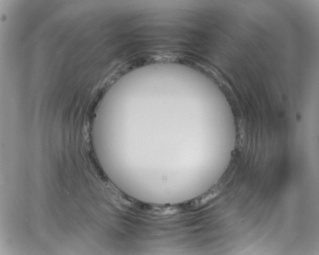 X0000066540667200603171242