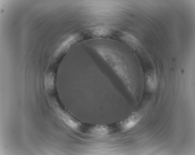 X0000066540668200603171242